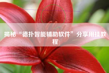 揭秘“德扑智能辅助软件”分享用挂教程