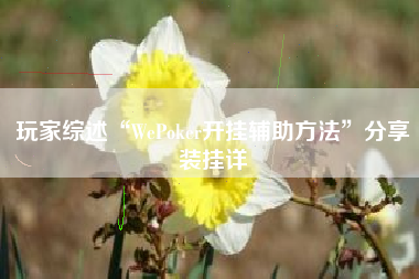 玩家综述“WePoker开挂辅助方法”分享装挂详