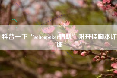 科普一下“sohoopoker辅助”附开挂脚本详细