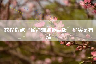 教程指点“雀神辅助器ios版”确实是有挂