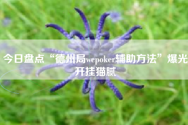 今日盘点“德州局wepoker辅助方法”爆光开挂猫腻