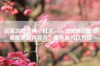 玩家攻略宝典“红龙poker透视辅助器安卓版更新内容介”原来真可以开挂