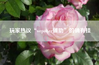 玩家热议“wepoKer辅助”的确有挂 玩家热议“wepoKer辅助”的确有挂