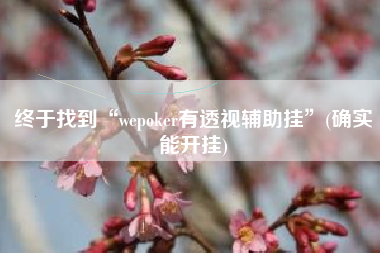终于找到“wepoker有透视辅助挂”(确实能开挂) 终于找到“wepoker有透视辅助挂”(确实能开挂)