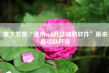 重大发现“德州wpk开挂辅助软件”原来真可以开挂