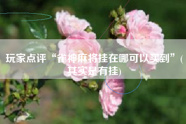 玩家点评“雀神麻将挂在哪可以买到”(其实是有挂)