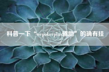 科普一下“wepokerplus辅助”的确有挂