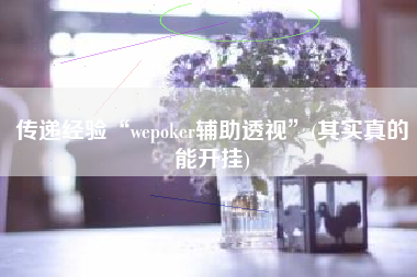 传递经验“wepoker辅助透视”(其实真的能开挂)