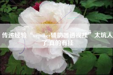 传递经验“wepoker辅助器透视挂”太坑人了,真的有挂 传递经验“wepoker辅助器透视挂”太坑人了,真的有挂