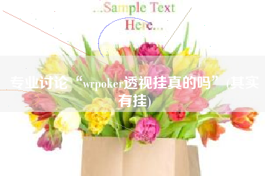 专业讨论“wrpoker透视挂真的吗”(其实有挂) 专业讨论“wrpoker透视挂真的吗”(其实有挂)
