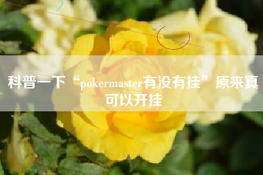 科普一下“pokermaster有没有挂”原来真可以开挂