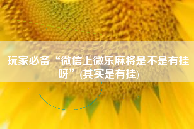 玩家必备“微信上微乐麻将是不是有挂呀”(其实是有挂) 玩家必备“微信上微乐麻将是不是有挂呀”(其实是有挂)