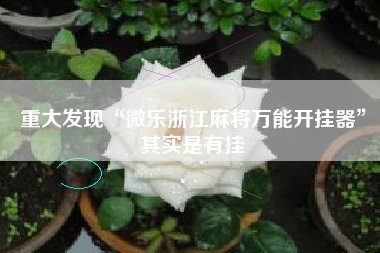 重大发现“微乐浙江麻将万能开挂器”其实是有挂