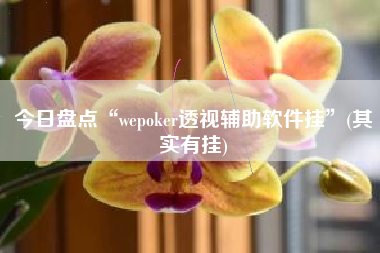 今日盘点“wepoker透视辅助软件挂”(其实有挂)