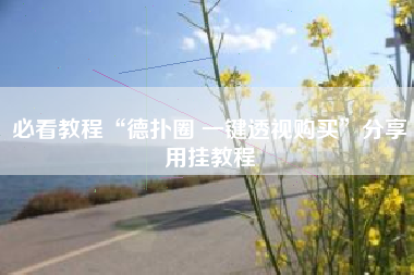 必看教程“德扑圈 一键透视购买”分享用挂教程