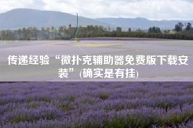 传递经验“微扑克辅助器免费版下载安装”(确实是有挂) 传递经验“微扑克辅助器免费版下载安装”(确实是有挂)