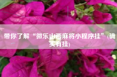 带你了解“微乐山西麻将小程序挂”(确实有挂)