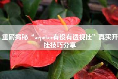 重磅揭秘“wepoker有没有透视挂”真实开挂技巧分享 重磅揭秘“wepoker有没有透视挂”真实开挂技巧分享