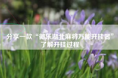 分享一款“微乐湖北麻将万能开挂器”了解开挂过程