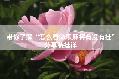 带你了解“怎么看微乐麻将有没有挂”分享装挂详