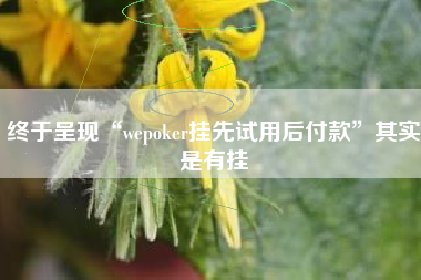 终于呈现“wepoker挂先试用后付款”其实是有挂 终于呈现“wepoker挂先试用后付款”其实是有挂