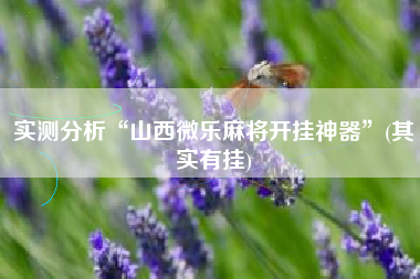 实测分析“山西微乐麻将开挂神器”(其实有挂) 实测分析“山西微乐麻将开挂神器”(其实有挂)