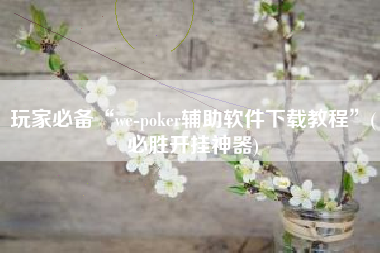 玩家必备“we-poker辅助软件下载教程”(必胜开挂神器)