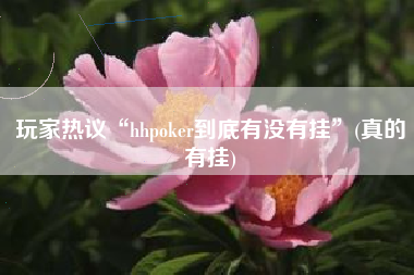 玩家热议“hhpoker到底有没有挂”(真的有挂)