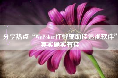 分享热点“WePoker作弊辅助挂透视软件”其实确实有挂
