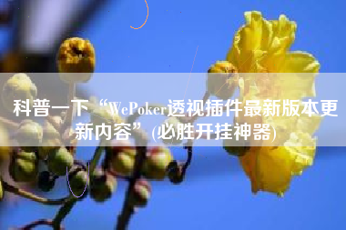 科普一下“WePoker透视插件最新版本更新内容”(必胜开挂神器) 科普一下“WePoker透视插件最新版本更新内容”(必胜开挂神器)