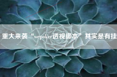 重大来袭“wepoker透视脚本”其实是有挂