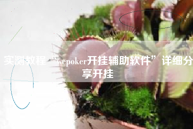 实测教程“wepoker开挂辅助软件”详细分享开挂