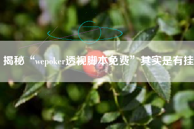 揭秘“wepoker透视脚本免费”其实是有挂 揭秘“wepoker透视脚本免费”其实是有挂