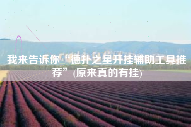 我来告诉你“德扑之星开挂辅助工具推荐”(原来真的有挂)