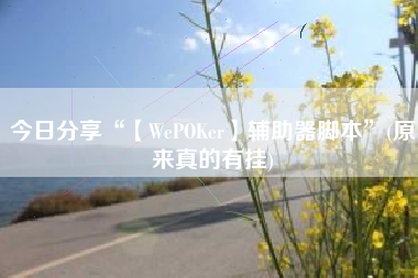 今日分享“【WePOKer】辅助器脚本”(原来真的有挂)