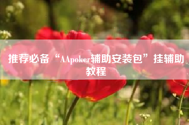推荐必备“AApoker辅助安装包”挂辅助教程