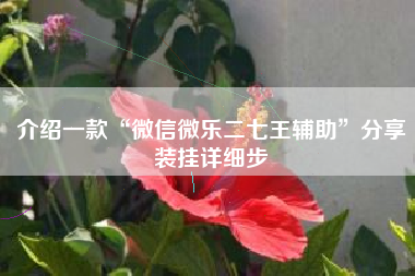 介绍一款“微信微乐二七王辅助”分享装挂详细步 介绍一款“微信微乐二七王辅助”分享装挂详细步