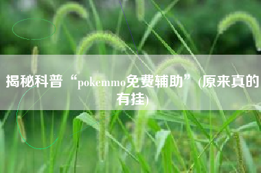 揭秘科普“pokemmo免费辅助”(原来真的有挂)