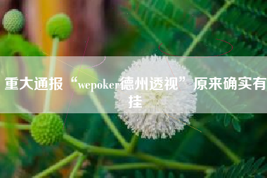 重大通报“wepoker德州透视”原来确实有挂