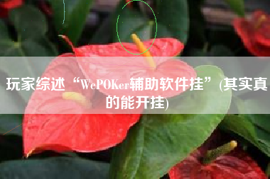 玩家综述“WePOKer辅助软件挂”(其实真的能开挂) 玩家综述“WePOKer辅助软件挂”(其实真的能开挂)