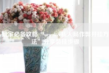 玩家必备攻略“wepoker私人局作弊开挂方法”分享装挂步骤