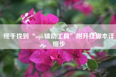 终于找到“wpk辅助工具”附开挂脚本详细步