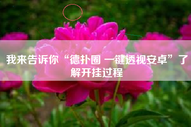 我来告诉你“德扑圈 一键透视安卓”了解开挂过程