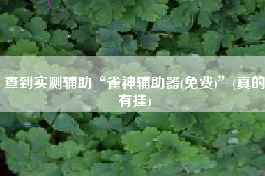 查到实测辅助“雀神辅助器(免费)”(真的有挂)