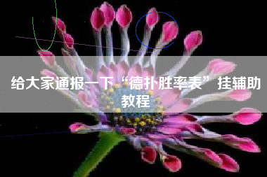 给大家通报一下“德扑胜率表”挂辅助教程 给大家通报一下“德扑胜率表”挂辅助教程