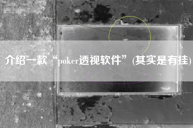 介绍一款“poker透视软件”(其实是有挂) 介绍一款“poker透视软件”(其实是有挂)