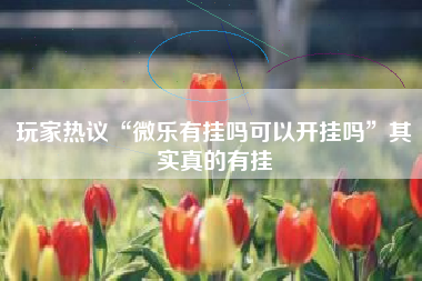 玩家热议“微乐有挂吗可以开挂吗”其实真的有挂 玩家热议“微乐有挂吗可以开挂吗”其实真的有挂