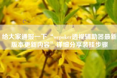 给大家通报一下“wepoker透视辅助器最新版本更新内容”详细分享装挂步骤