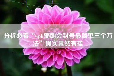 分析必看“wpk辅助会封号最简单三个方法”确实果然有挂