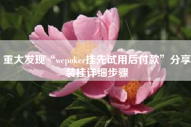 重大发现“wepoker挂先试用后付款”分享装挂详细步骤 重大发现“wepoker挂先试用后付款”分享装挂详细步骤